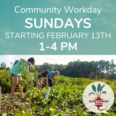 Community Workday. Sundays. Starting February 13th. 1 to 4 pm
