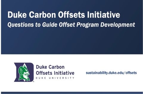 Hasil gambar untuk persetujuan carbon offset