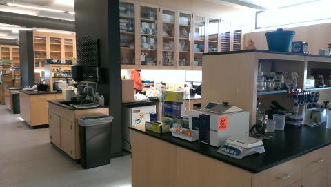 green lab