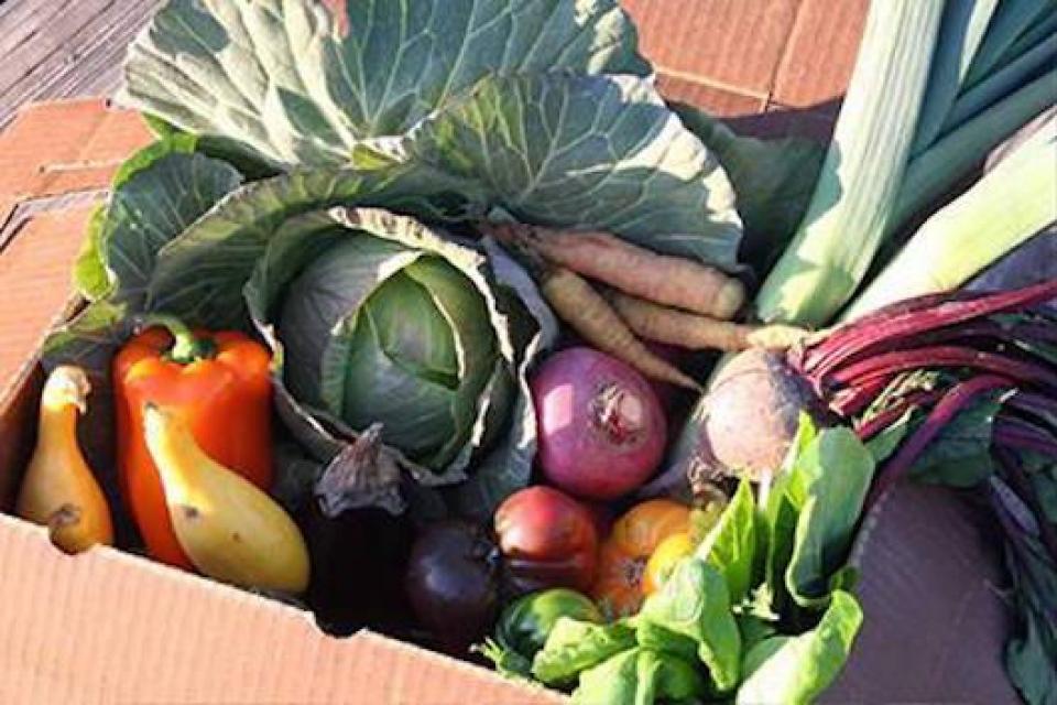 photo of produce box