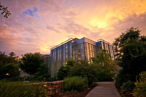 A pink and yellow sky shadows over a glass building on campus that has a sidewalk leading up to it.